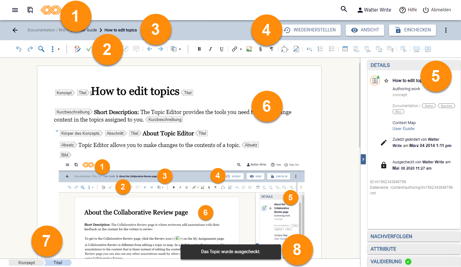 Topic-Editor