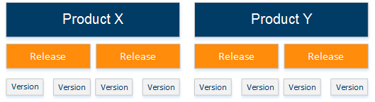 DRM Overview